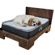 Cama para mascota chica