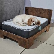 Cama para mascota chica