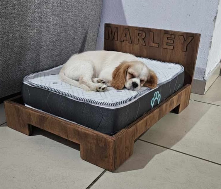 Cama para mascota chica